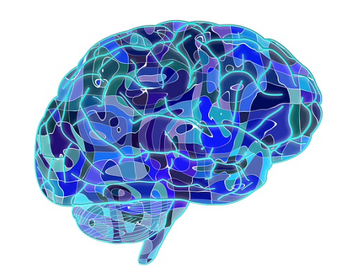 brain-951874_640 brain-951874_640
